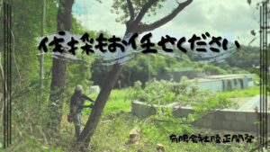 「伐採もやっちゃいますよ✌」のサムネイル