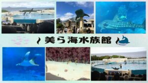 「社員旅行で沖縄に行って来ました②」のサムネイル